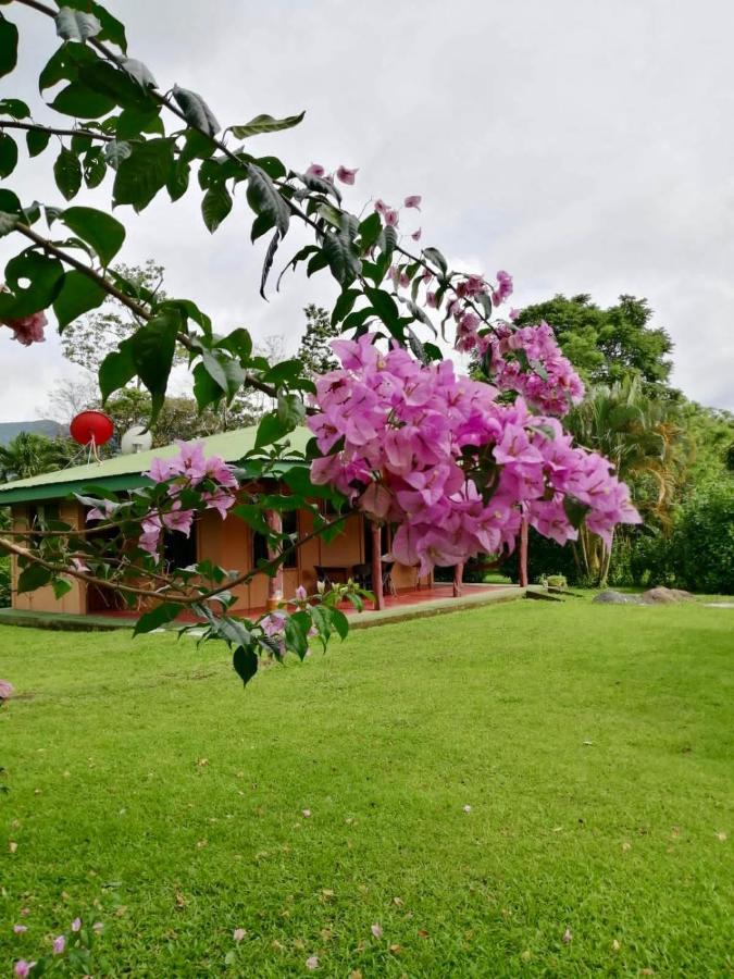 Willa Casita El Jardin Bijagua Zewnętrze zdjęcie