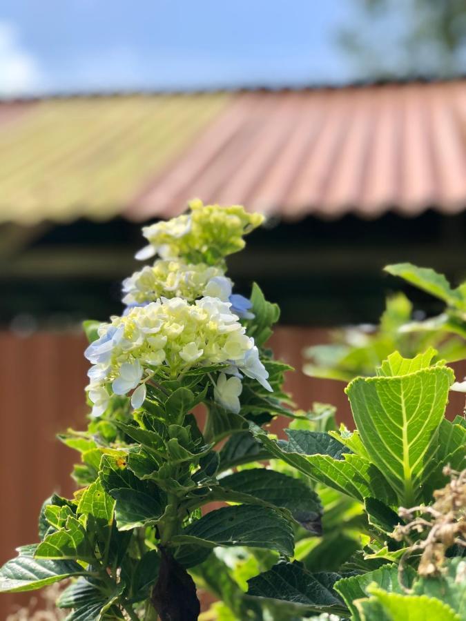 Willa Casita El Jardin Bijagua Zewnętrze zdjęcie